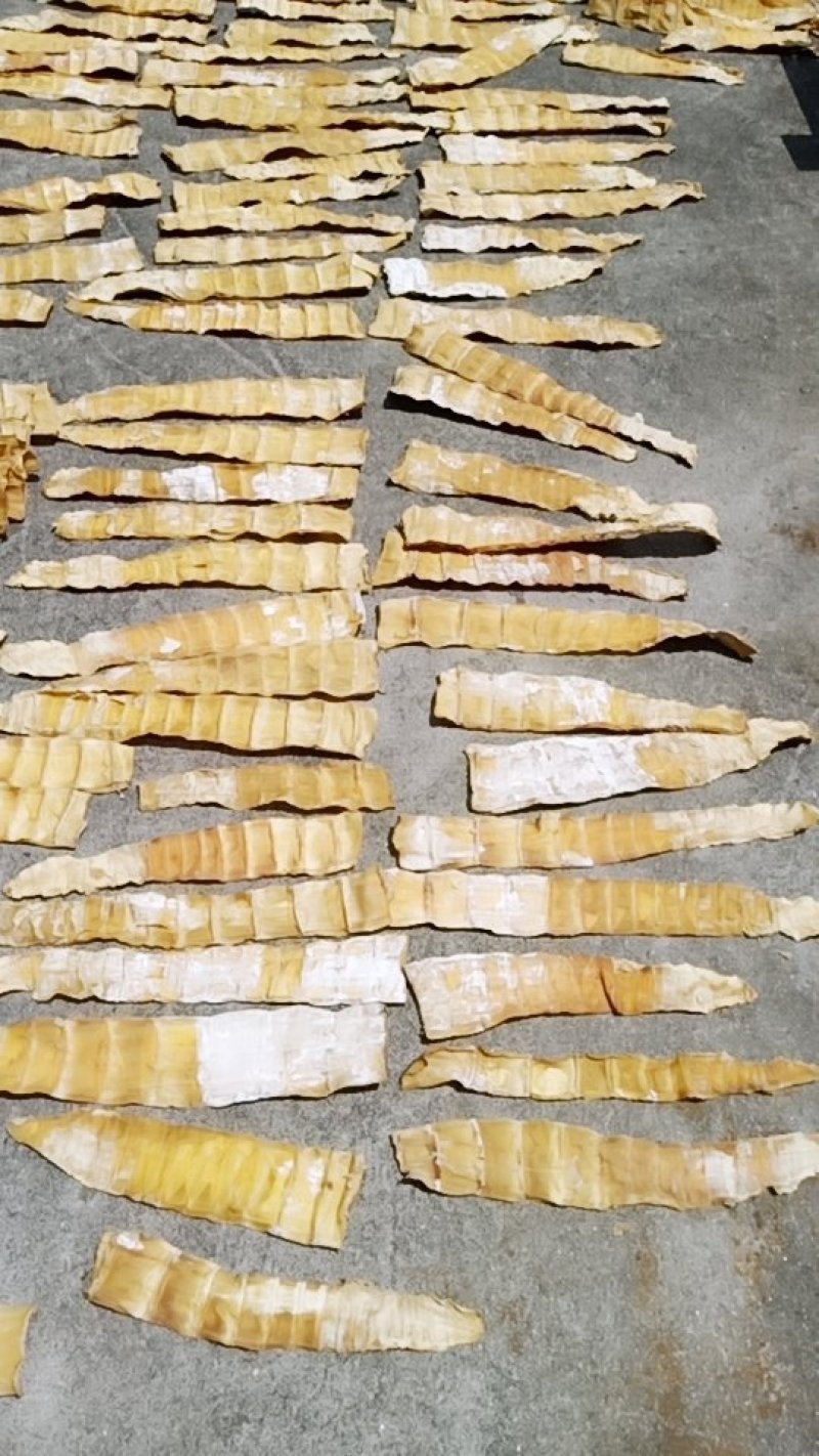 商品购销服务：连接商家与市场的新航路